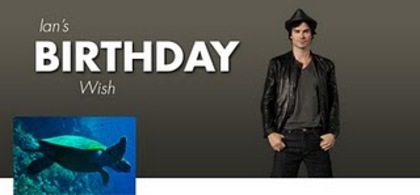 isf-bday-ban - Ian Birthday Wish