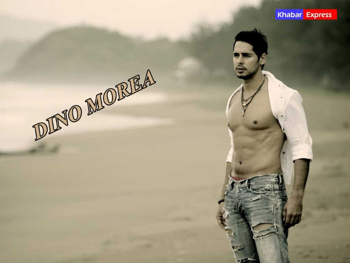 Dino Morea