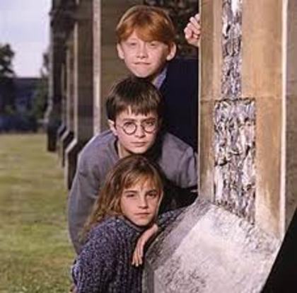013 - Harry Potter si Piatra Filozofala 2001