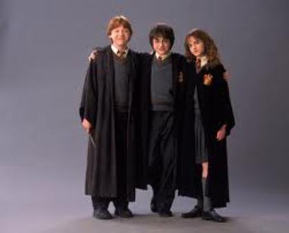 004 - Harry Potter si Camera Secretelor 2002