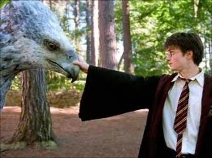 008 - Harry Potter si Prizonierul din Azkaban 2004