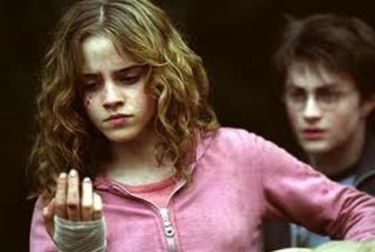 011 - Harry Potter si Prizonierul din Azkaban 2004