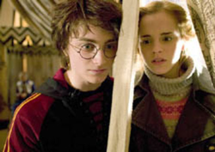 008 - Harry Potter si Pocalul de Foc 2005