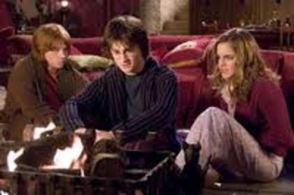 010 - Harry Potter si Pocalul de Foc 2005