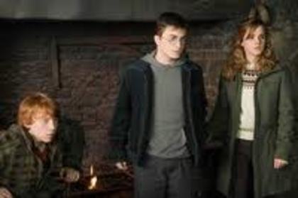 015 - Harry Potter si Ordinul Phoenix 2007