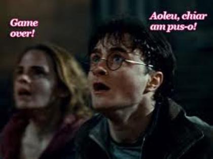 010 - Harry Potter si Talismanele Mortii 2010-2011