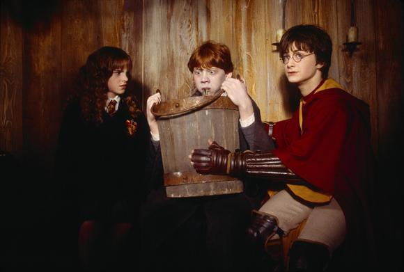 014 - Harry Potter si Camera Secretelor 2002
