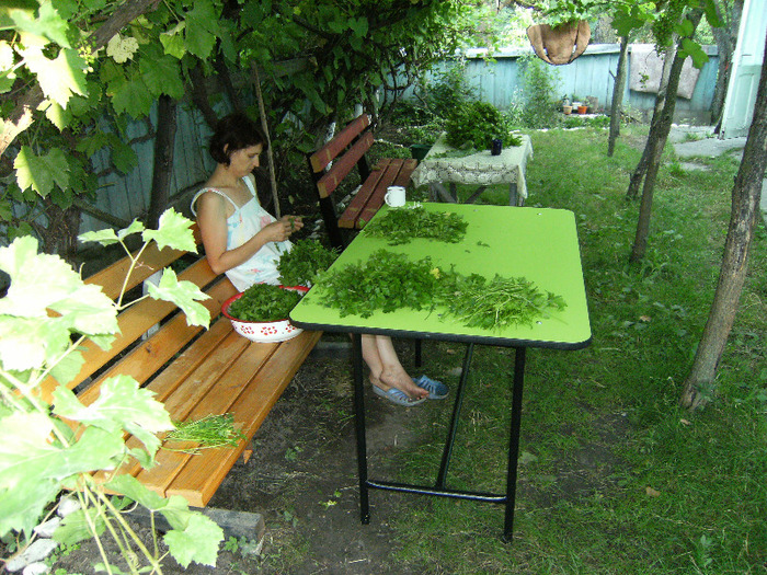 15 iul 2011; la patrunjel
