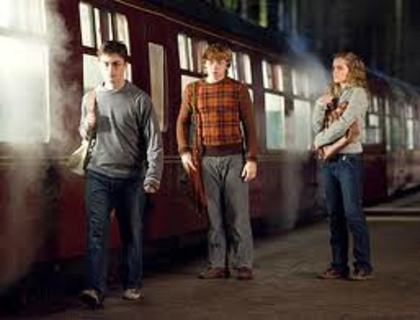 021 - Harry Potter si Ordinul Phoenix 2007