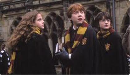 017 - Harry Potter si Camera Secretelor 2002