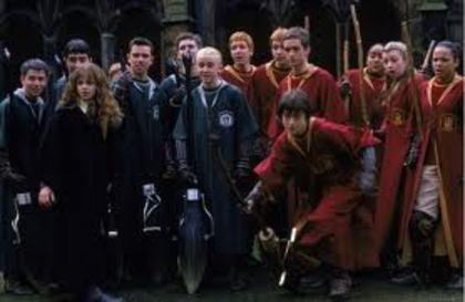 019 - Harry Potter si Camera Secretelor 2002