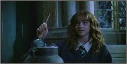 020 - Harry Potter si Camera Secretelor 2002