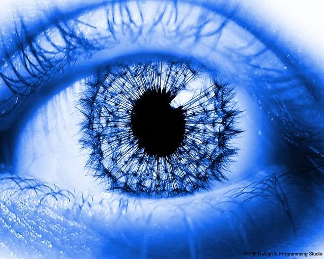 Eye1280x1024