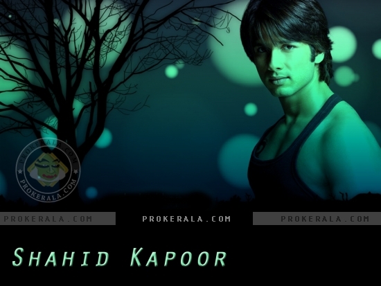 shahid-kapoor-599