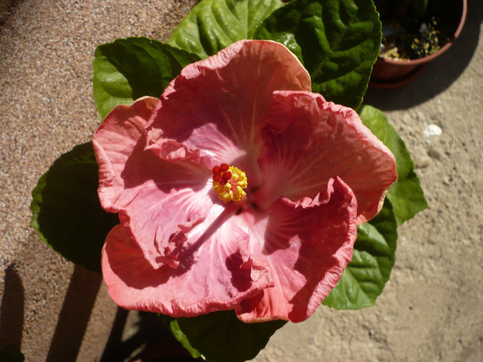 P1080819