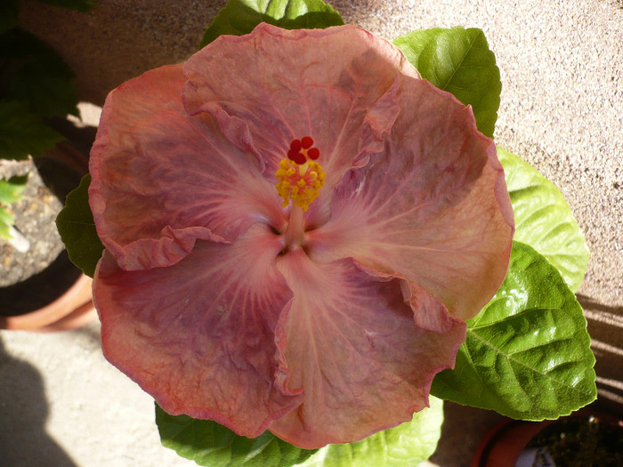 P1080820