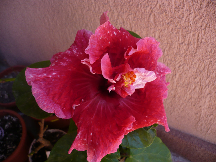 P1080825