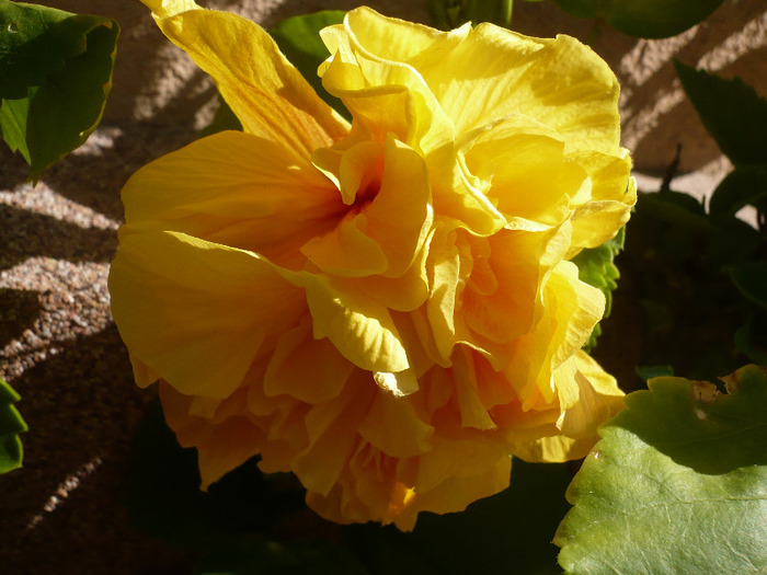 P1080832