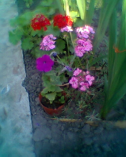 Fotogr.0162