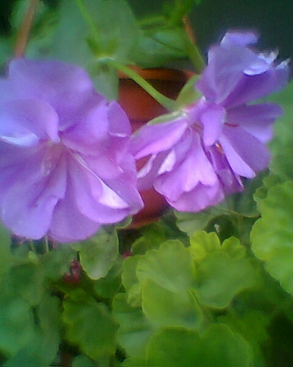 Fotogr.0219