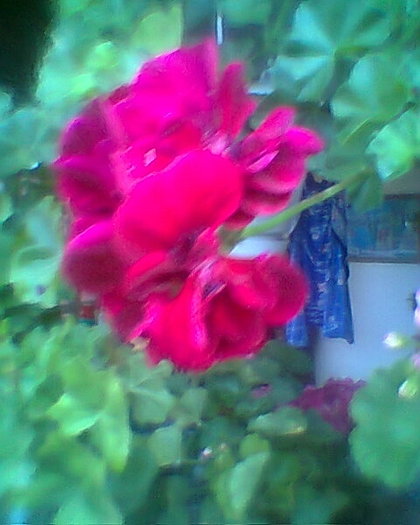 Fotogr.0220