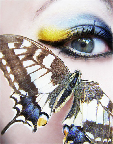 blue,eyes,yellow,butterfly,makeup-d85d0c3b1203801e57e508ea53dd2fde_h_large - Ochi2