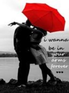 portal-web.net - forever-4496