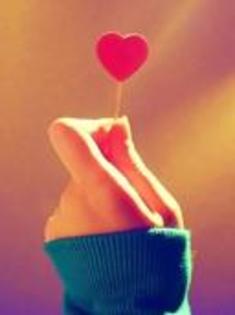 portal-web.net - love-4535