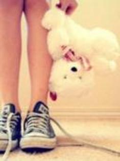 portal-web.net - my-teddy-bear-446