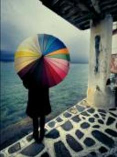 rainbow-3401