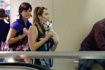 normal_001 - At LAX Airport With Her New Puppy