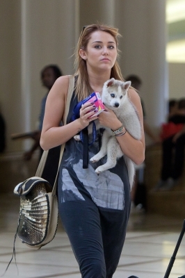 normal_005 - At LAX Airport With Her New Puppy