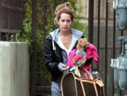 28634016_BEIPPWRDG - ashley tisdale