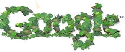 imagesCAHN62NV - posssssssssssssssse