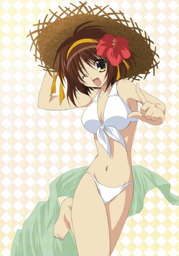 254148 - Haruhi Suzumiya