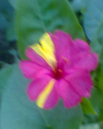 Fotogr.0621