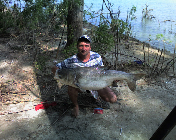 O CAPTURA DE 35 KG FITOFAG; O CAPTURA DE 35 KG  FITOFAG
