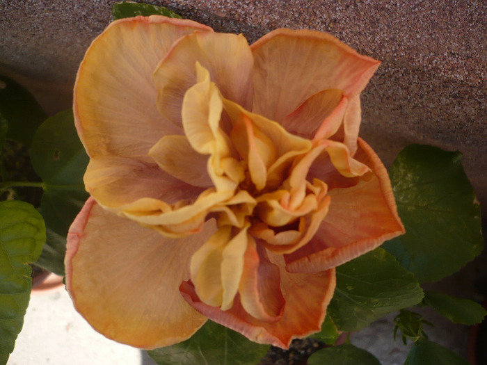P1080857