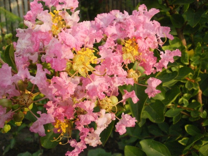 P7170112