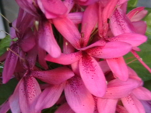 Picture 003