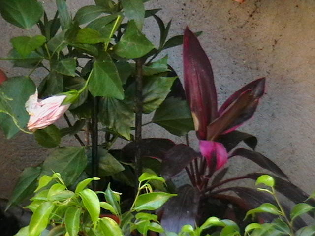 Picture 016