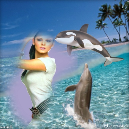 Summer Fun - 1vRTe-10G - normal