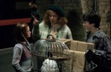 023 - Harry Potter si Piatra Filozofala 2001