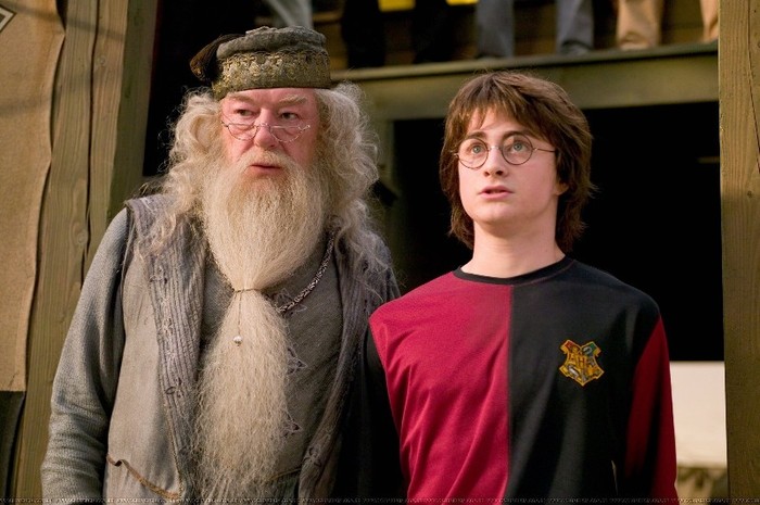 015 - Harry Potter si Pocalul de Foc 2005