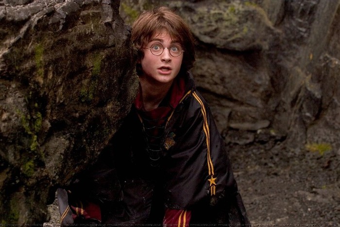 016 - Harry Potter si Pocalul de Foc 2005