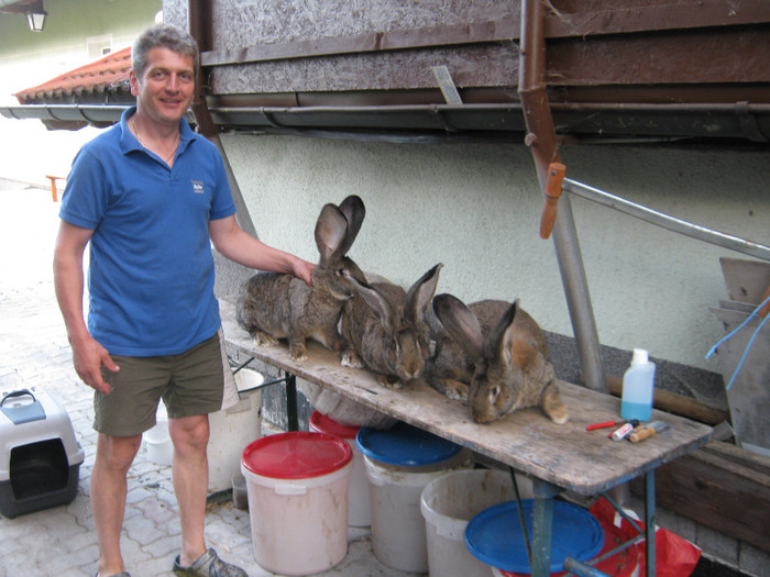 uriasi 6 luni de vanzare