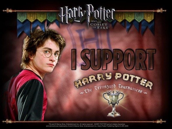 020 - Harry Potter si Pocalul de Foc 2005