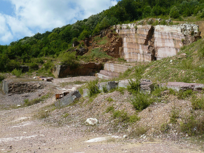 P1000505