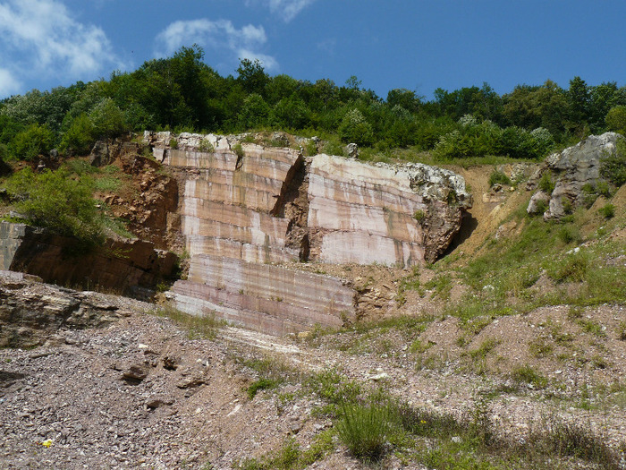 P1000507