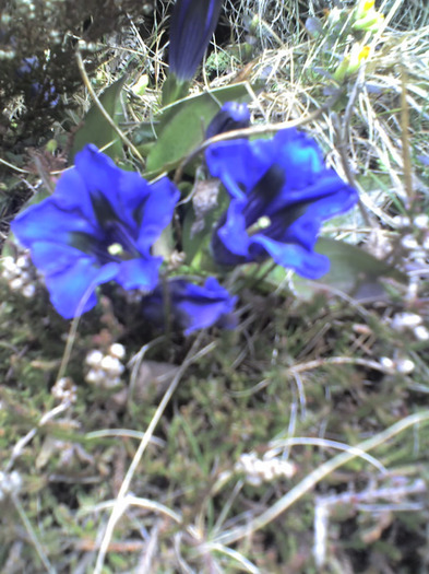 19-04-08_1724 - Diverse poze